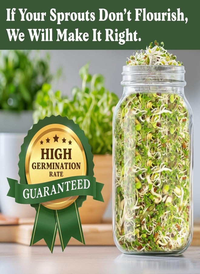 Seedboy Organic Non-GMO Sprouting Seeds, Fresh Salad Blend – USA Grown Microgreens Mix with Alfalfa, Broccoli, Radish, Mung Bean & Lentil – 8 oz Bag Makes 8 Quarts / 24 Servings (Salad Blend) - Image 5